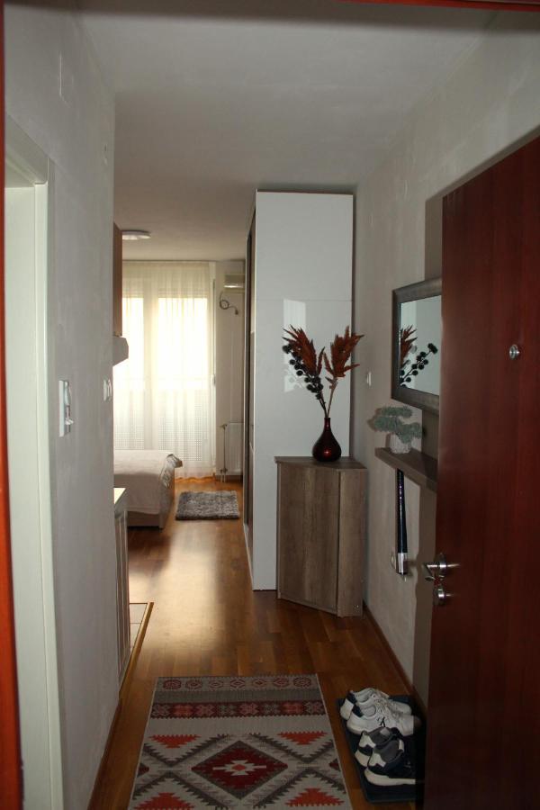 Downtown Apartment โนวีซาด ภายนอก รูปภาพ
