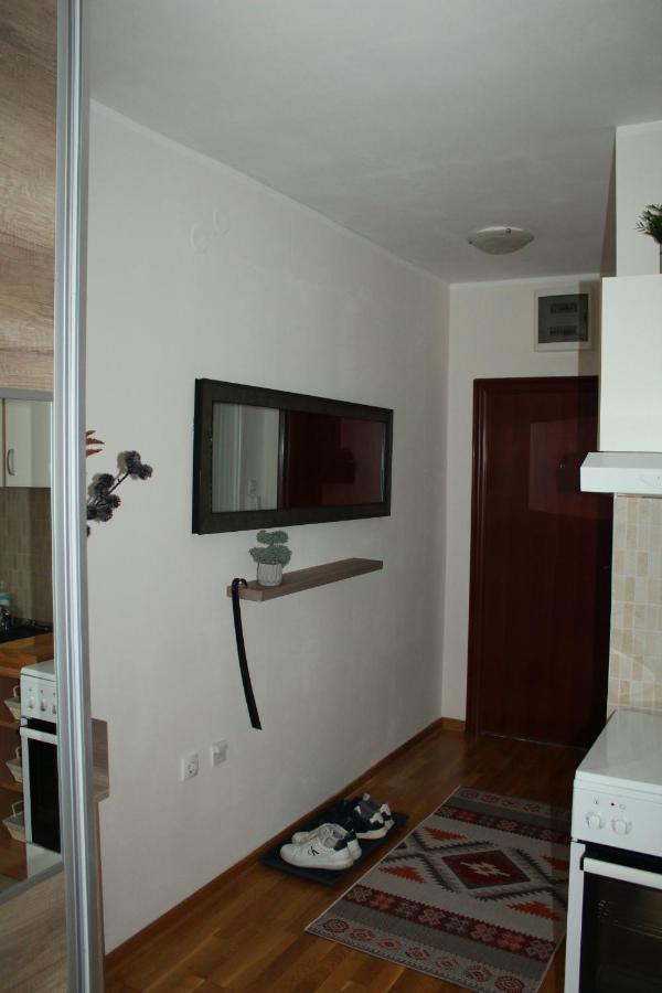 Downtown Apartment โนวีซาด ภายนอก รูปภาพ